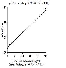 Human EGF Mouse mAb