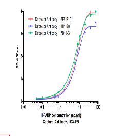 H-FABP Mouse mAb