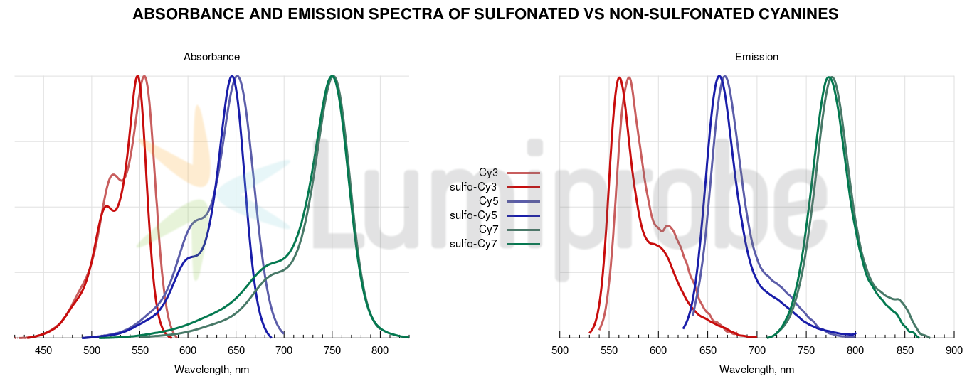 Comparison between Cy and sulfo-Cy dyes
