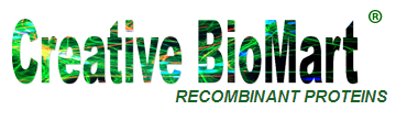 Creative Biomart