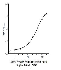 Anthrax Protective Antigen Mouse mAb