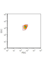 Flow Cytometry