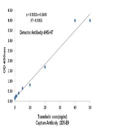 Transferrin Mouse mAb