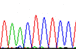 Sequencing, DNA Sequencing