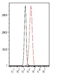 CD19 Mouse mAb