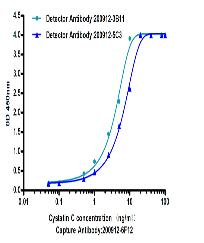 Cystatin C Mouse mAb