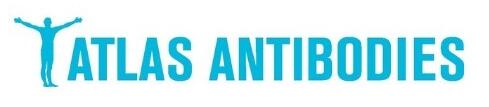 Atlas antibodies 特约代理