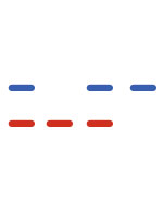 Western Blot and Immunoblotting Products