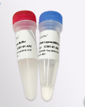 pGL3-U6-sgRNA-PGK-puromycin