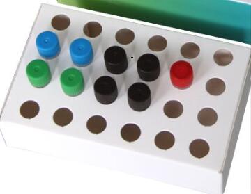 溶组织梭状芽孢杆菌染料法荧光定量PCR试剂盒