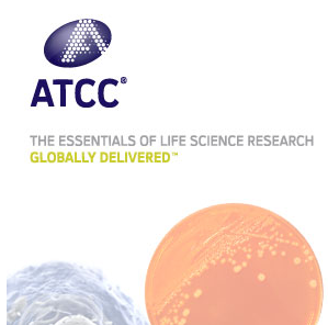 中间链球菌ATCC 27335