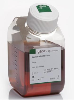 GIBCO血清(南美)