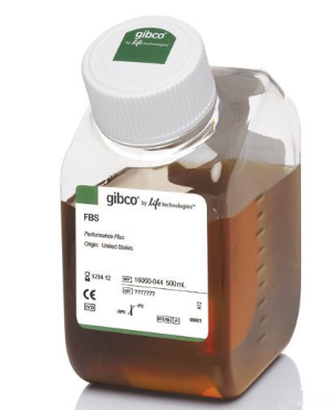 Gibco血清热灭活(澳大利亚)