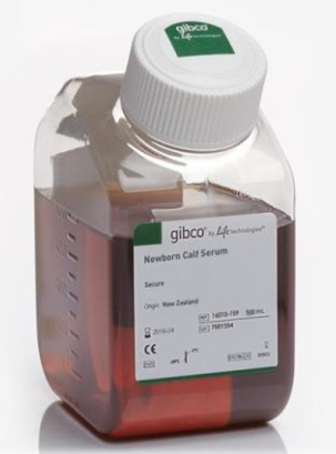 GIBCO血清（透析）