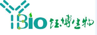 1,3-双(3-氨基丙基)四甲基二硅氧烷 2469-55-8