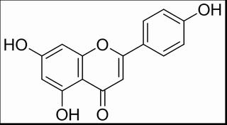 芹菜素,分析标准品,HPLC≥98%