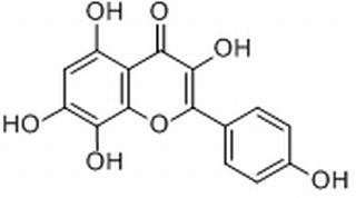 草质素，分析标准品,HPLC≥98%