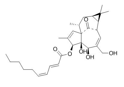 3-O-(2'E,4'Z-癸二烯酰基)巨大戟二萜醇,分析标准品,HPLC≥95%