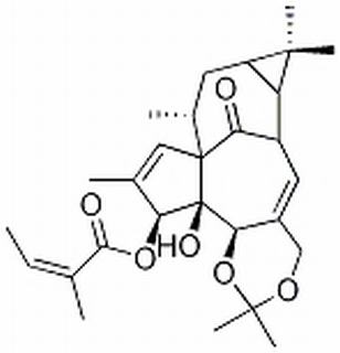 巨大戟醇-5,20-缩丙酮-3-当归酸酯,分析标准品,HPLC≥98%