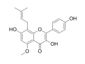 槐黄醇,分析标准品,HPLC≥98%