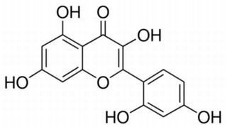 桑色素,分析标准品,HPLC≥98%