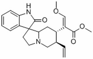 去氢钩藤碱,分析标准品,HPLC≥98%
