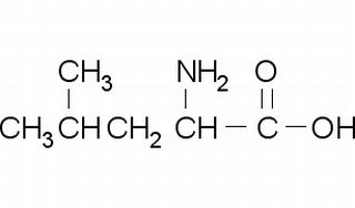 DL-亮氨酸,分析标准品,HPLC≥98%