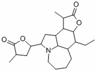 新对叶百部碱,分析标准品,HPLC≥98%