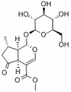 山茱萸苷,分析标准品,HPLC≥98%