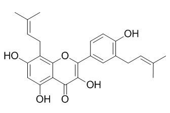 楮树黄酮醇F,分析标准品,HPLC≥95%