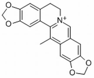 甲基黄连碱,分析标准品,HPLC≥98%