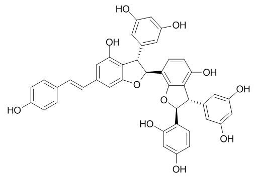 大子买麻藤乙素,分析标准品,HPLC≥95%