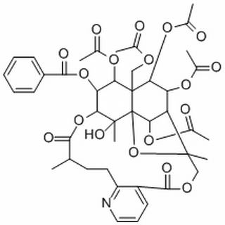 雷公藤次碱,分析标准品,HPLC≥98%