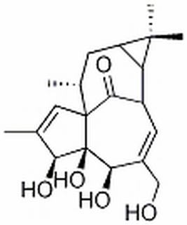 巨大戟醇,分析标准品,HPLC≥98%