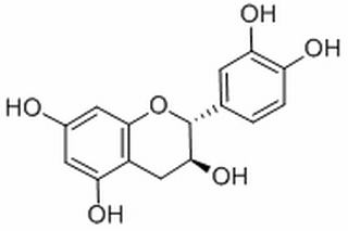 (+)-儿茶素,分析标准品,HPLC≥98%