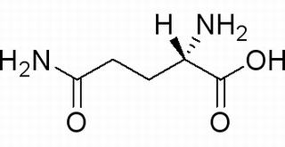 L-谷氨酰胺,分析标准品,HPLC≥98%