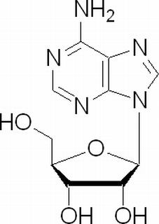 腺苷,分析标准品,HPLC≥99%