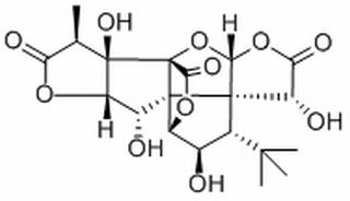 银杏内酯C,分析标准品,HPLC≥98%