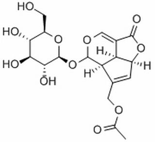 车叶草苷,分析标准品,HPLC≥98%