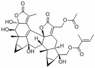 Sarcandrolide D,分析标准品,HPLC≥98%