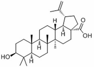 表白桦脂酸,分析标准品,HPLC≥99%