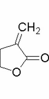 2-甲烯基丁内酯,>95.0%(GC)