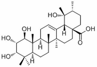 1β-Hydroxyeuscaphic acid,分析标准品,HPLC≥98%