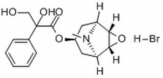氢溴酸樟柳碱,分析标准品,HPLC≥98%