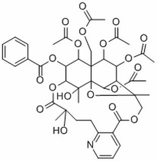 雷公藤定碱,分析标准品,HPLC≥98%