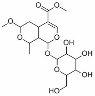 7-O-甲基莫诺苷,分析标准品,HPLC≥98%