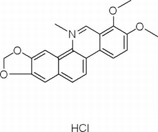 盐酸白屈菜红碱,分析标准品,HPLC≥98%