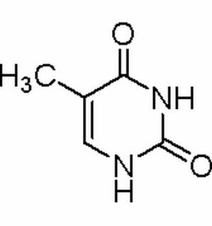 胸腺嘧啶,分析标准品,HPLC≥99%