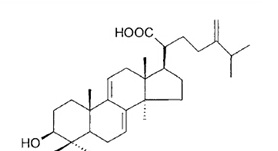 去氢齿孔酸,分析标准品,HPLC≥95%