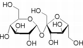 蔗糖,分析标准品,HPLC≥98%